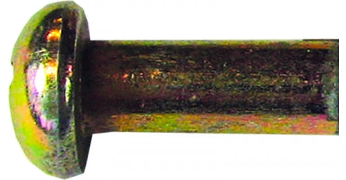 Masonbolt Post Screw