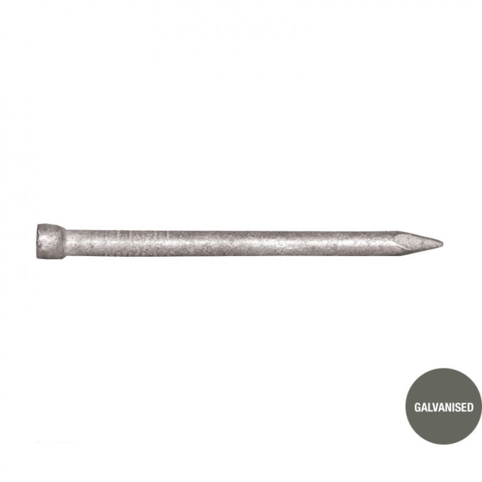 Galvanised Bullet Nail Head