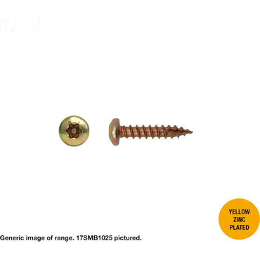 Security Torx Mushroom Head Type 17 10g Screw - 2 Material Options in 2 lengths