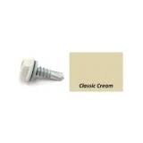 Painted Head 10g 16TPI x 16mm CLASSIC CREAM - Box of 1000