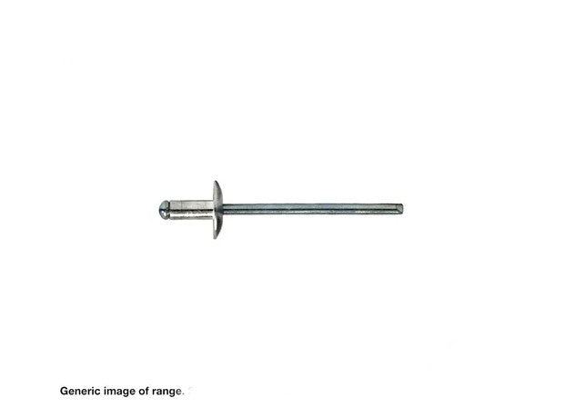 All 304 Stainless Steel Dome Head Large Flange Rivets - Various Sizes and Box Quantities