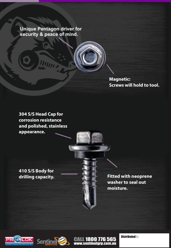 Prolok Pentagon Nut Setter