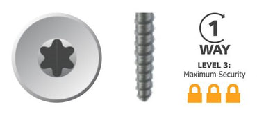 Prolok Screwbolt Torx Recess Plug Box of 100 - in 2 Size Options