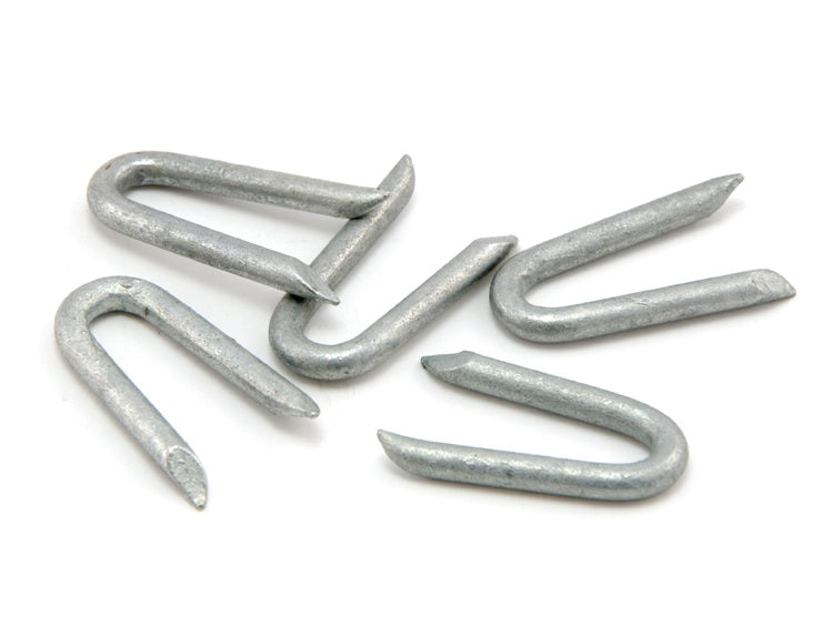Galvanised Plain Staples