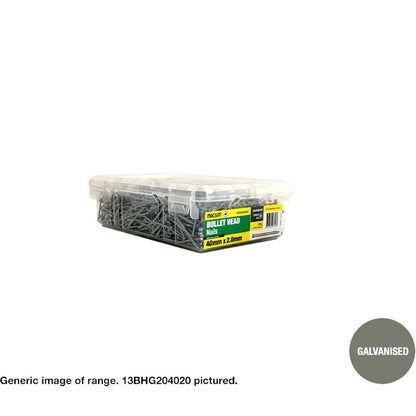 Bullet Head Galvanised Nails - Various Sizes and Box Quantities