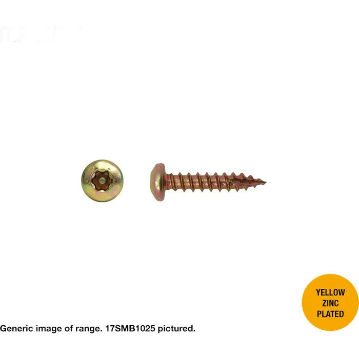 Security Torx Mushroom Head Type 17 10g Screw - 2 Material Options in 2 lengths