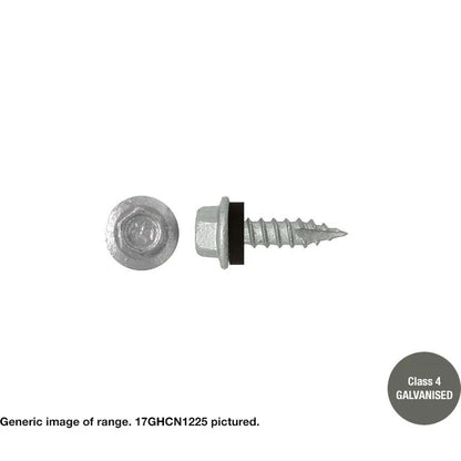 Type 17 Macsim Hex Head Screws Galvanised - Various Sizes, Quantities with Neoprene Washer Option