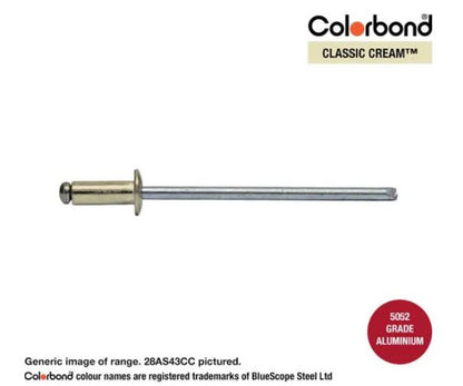 Aluminium Steel Dome Head Rivets Colorbond Painted Head - Various Sizes and Quantities