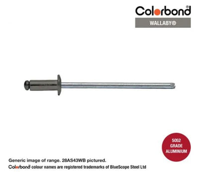Aluminium Steel Dome Head Rivets Colorbond Painted Head - Various Sizes and Quantities