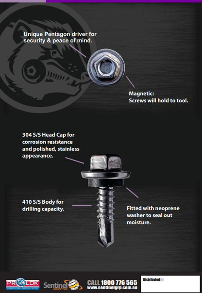 Prolok Pentagon Nut Setter