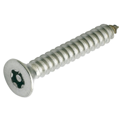 Torx Plus Countersunk 304 Stainless Steel Self Tapping Screw Box of 100 - Multiple Gauges and Lengths