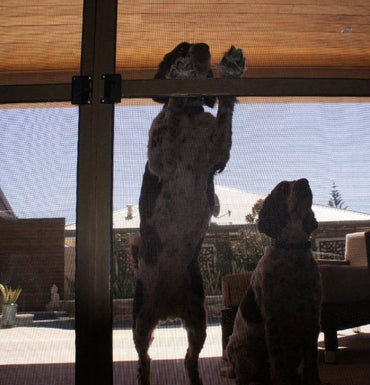 RUN OUT: Pet Protection PVC Flyscreen Pet Mesh - 910mm x 30m Roll